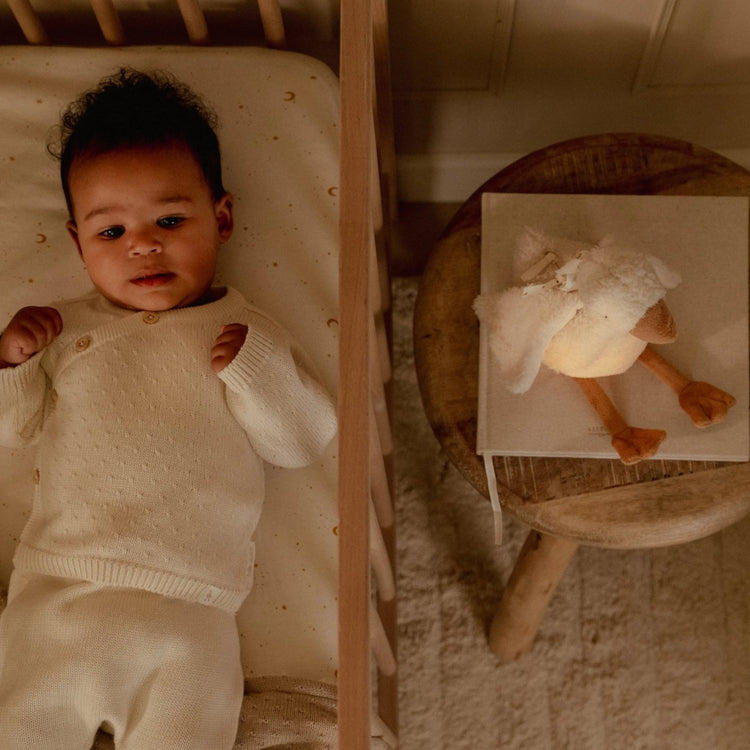 LITTLE DUTCH. Υφασμάτινη χήνα με φωτισμό, λευκούς ήχους & μουσική - επαναφορτιζόμενη