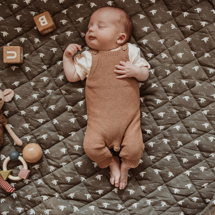 PLAY&GO. Βρεφικό στρώμα παιχνιδιού από οργανικό βαμβάκι 3 σε 1. Birds