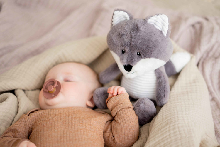 FLOW. Λούτρινη Αλεπού Robin με λευκούς ήχους & μουσική (γκρι)