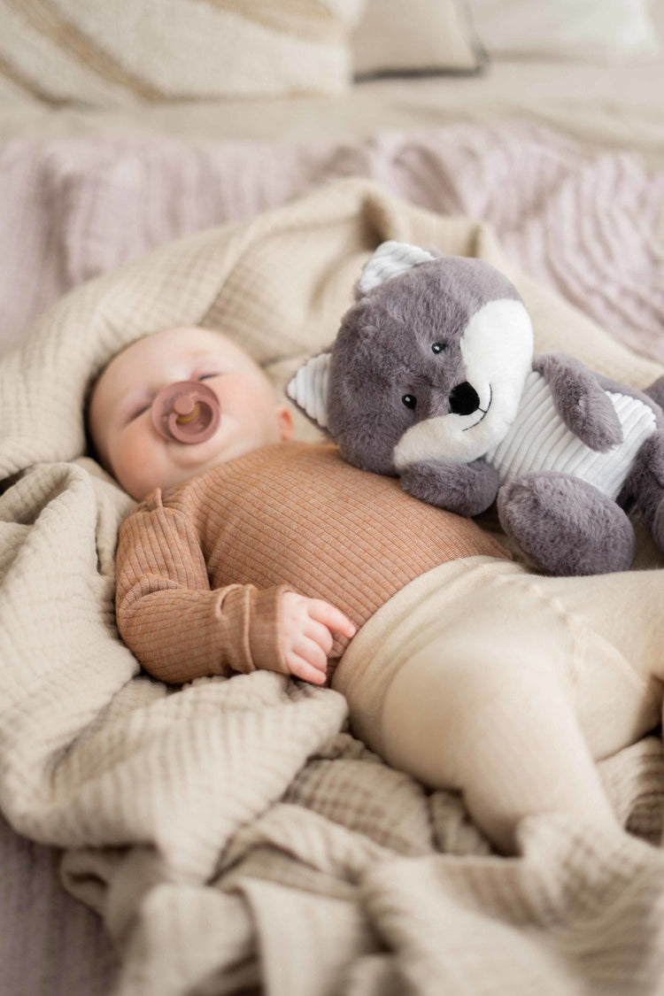 FLOW. Λούτρινη Αλεπού Robin με λευκούς ήχους & μουσική (γκρι)