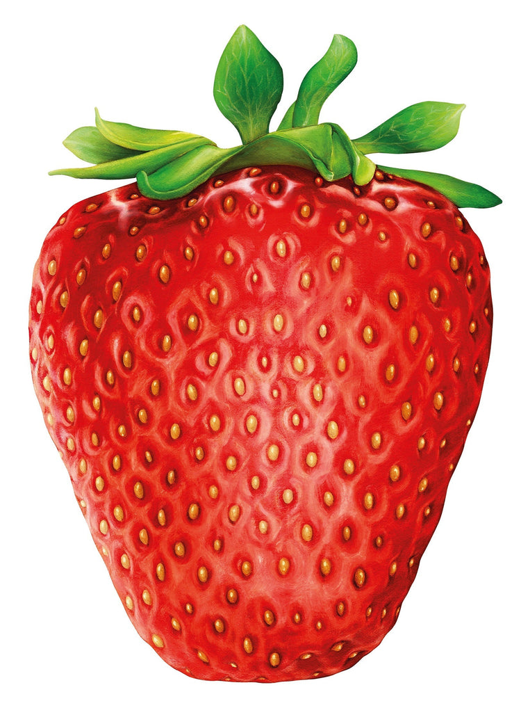 HUMMINGBIRD, Παζλ 1000 κομματιών I Like Strawberry