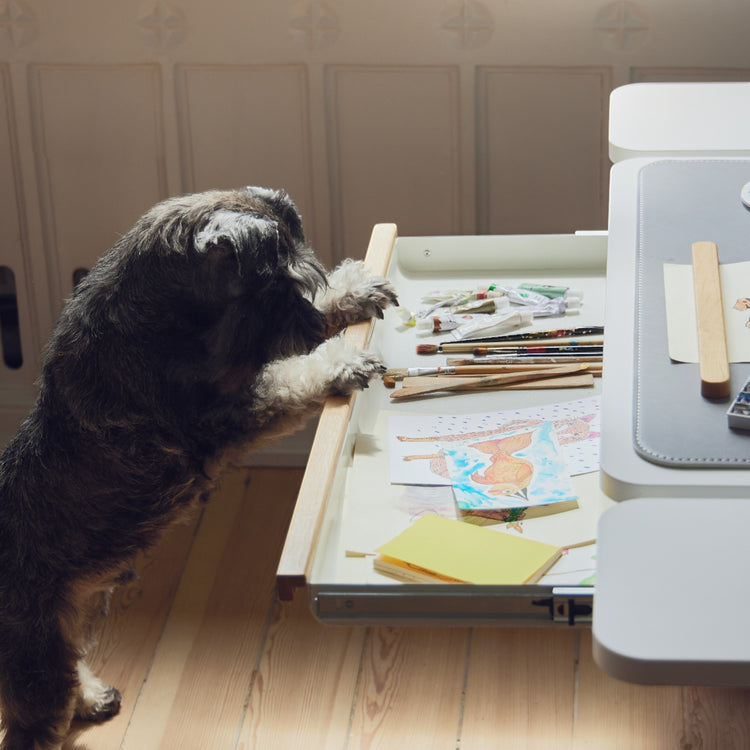 Flexa. Drawer for Moby desk