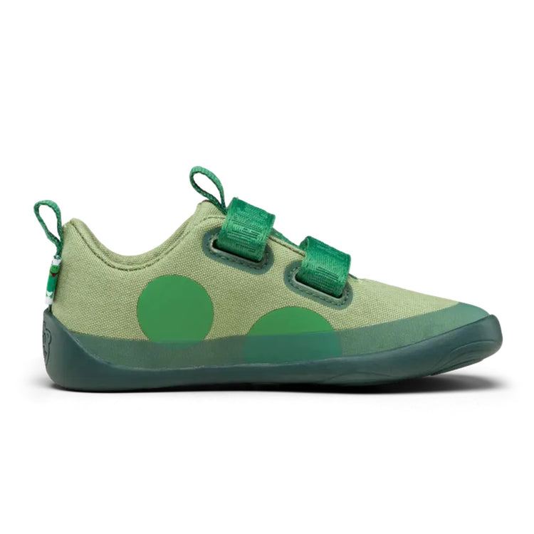 AFFENZAHN. Sneaker Cotton Lucky Frog - Size 32