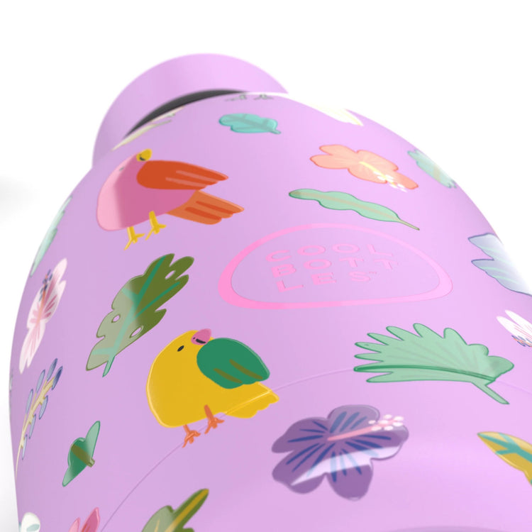 COOL BOTTLES. The Kids Water Bottle Fly Free 500ml