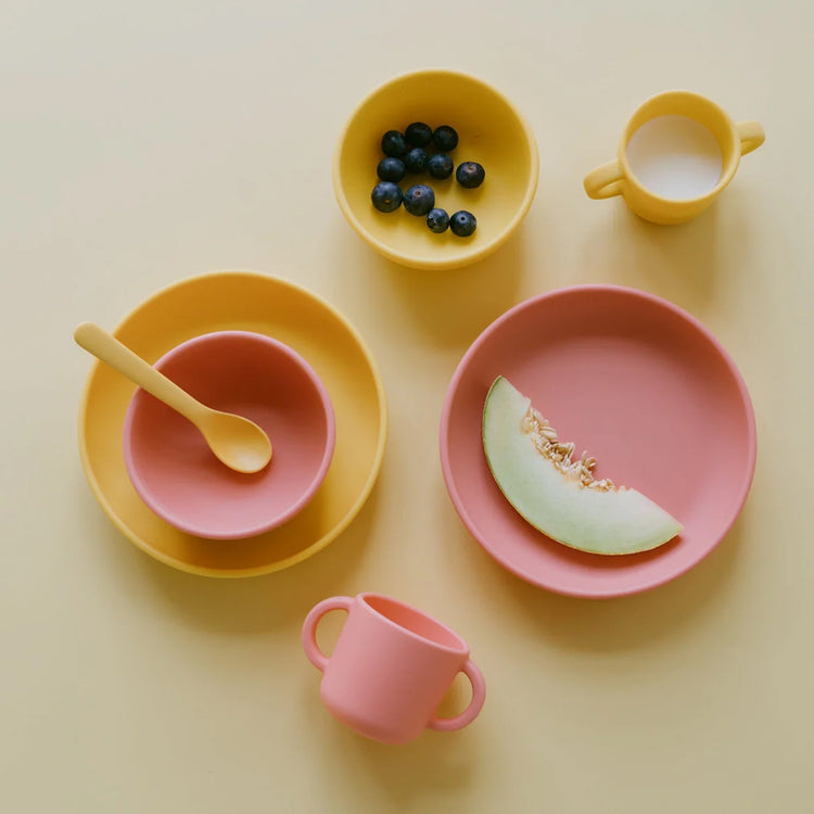 EKOBO. Bambino Silicone Sippy Cup with handles - Mimosa