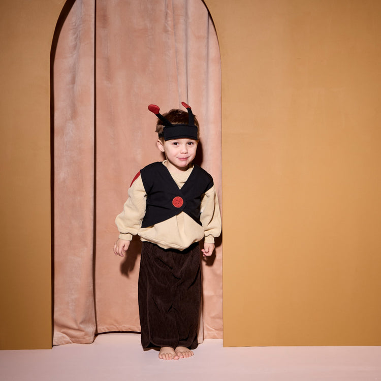 KIDS CONCEPT. Ladybug  DRESS-UP