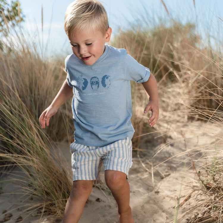 LITTLE DUTCH. Short Multi Stripe