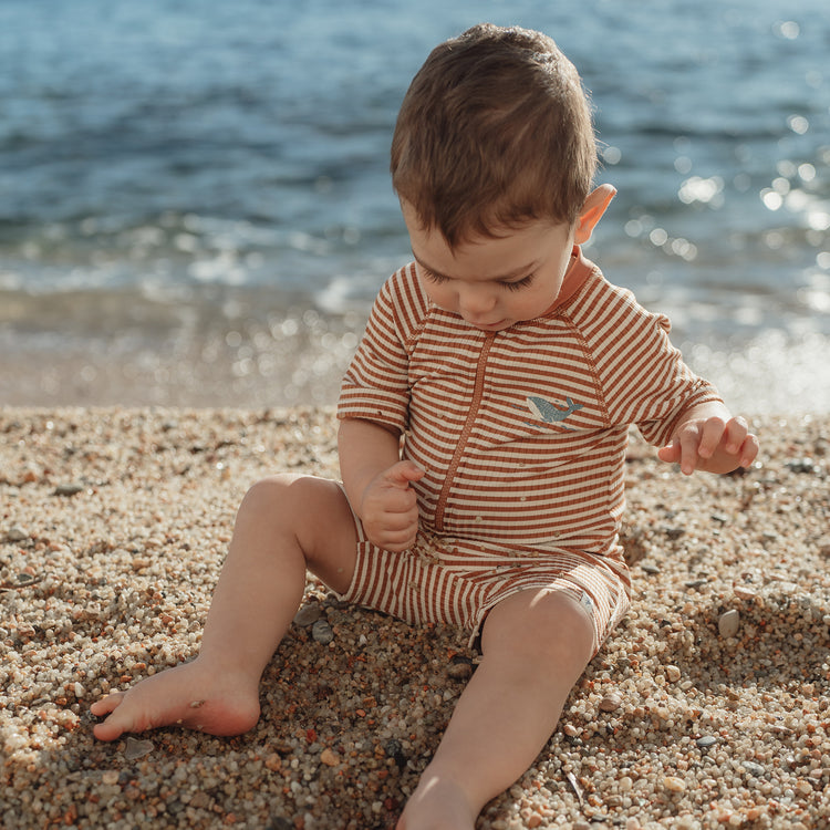 LITTLE DUTCH. Ολόσωμο κοντομάνικο μαγιό Ocean Brown Stripes