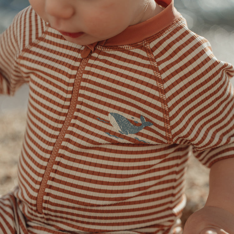 LITTLE DUTCH. Ολόσωμο κοντομάνικο μαγιό Ocean Brown Stripes