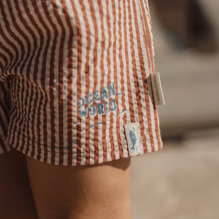 LITTLE DUTCH. Swim short Ocean Brown Stripes