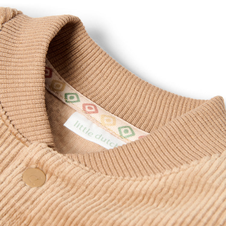LITTLE DUTCH. Cardigan Mudstone