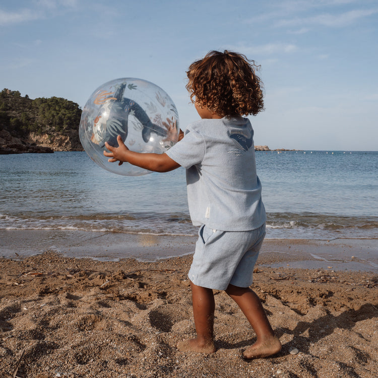 LITTLE DUTCH. 3D Beach ball Ocean World