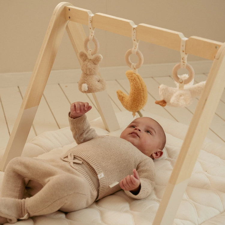 LITTLE DUTCH. Baby Gym Newborn Naturals