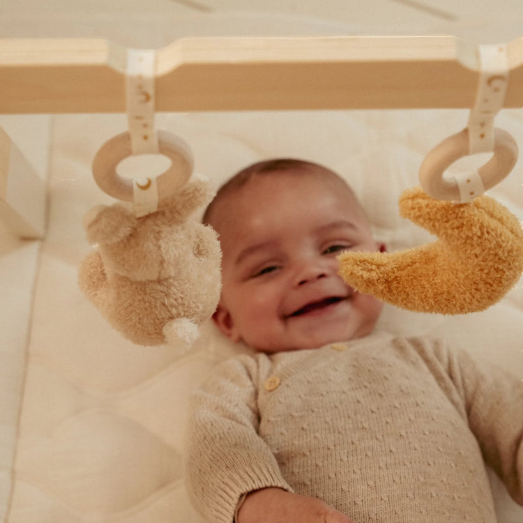 LITTLE DUTCH. Baby Gym Newborn Naturals