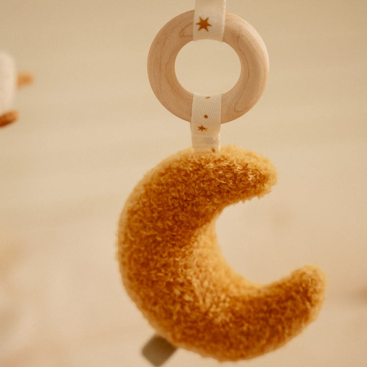LITTLE DUTCH. Baby Gym Newborn Naturals