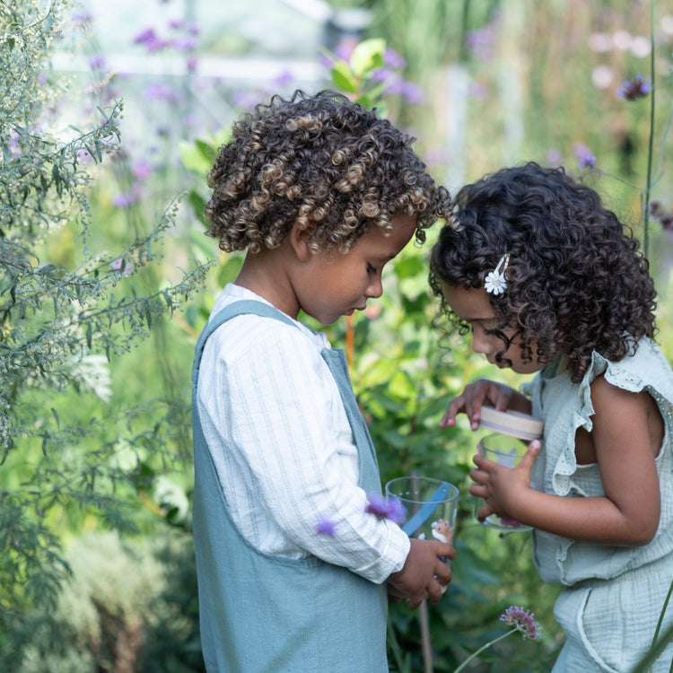 LITTLE DUTCH. Βαζάκι παρατήρησης εντόμων Fairy Garden FSC