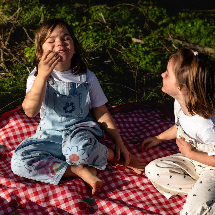 PLAY&GO. 2 in 1 storage bag and playmat. Outdoor Pic Nic