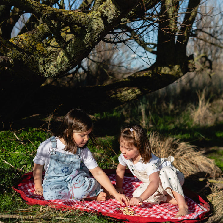 PLAY&GO. 2 in 1 storage bag and playmat. Outdoor Pic Nic