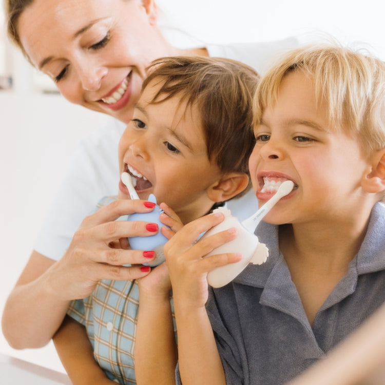 ZOO FAMILY. Sonic Kids Toothbrush - Koala