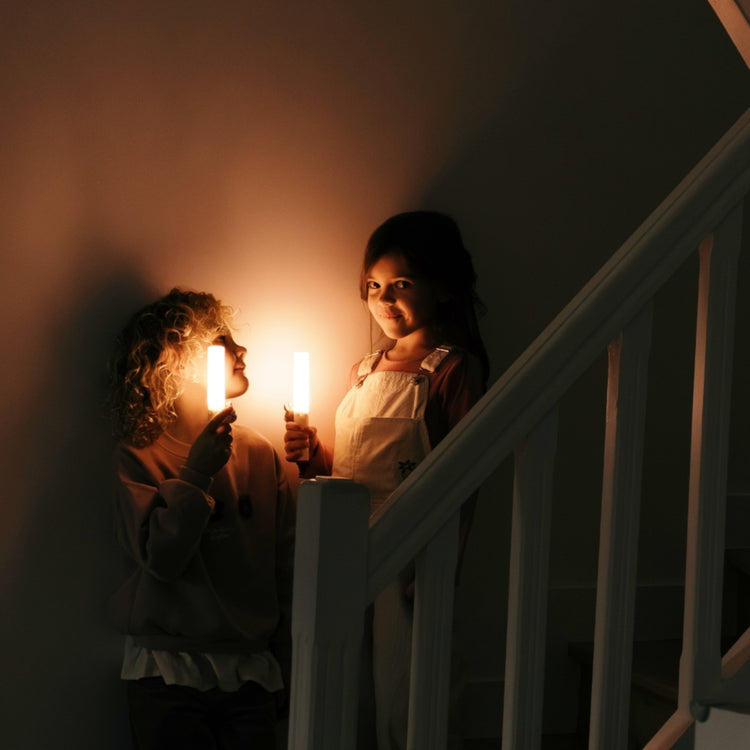 ZOO FAMILY. Φορητό φως νυχτός 3-σε-1 Zoo Light Κοάλα