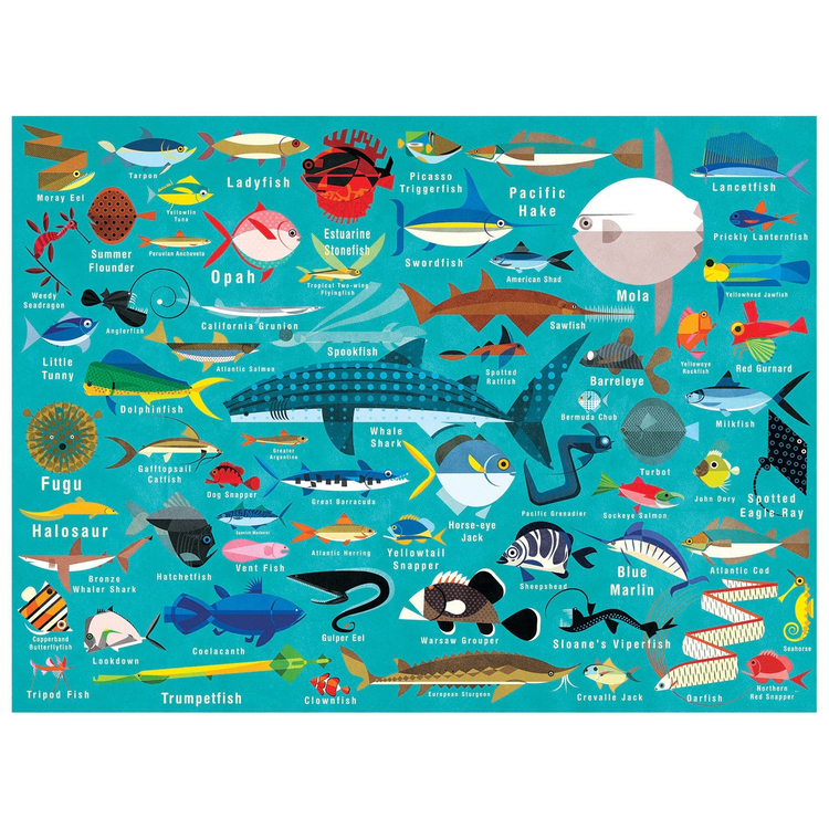MUDPUPPY. Ocean Life 1000 Piece Puzzle