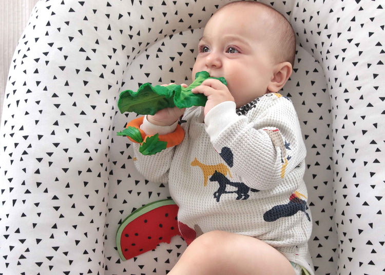 OLI&CAROL. Baby teether - Wally The Watermelon